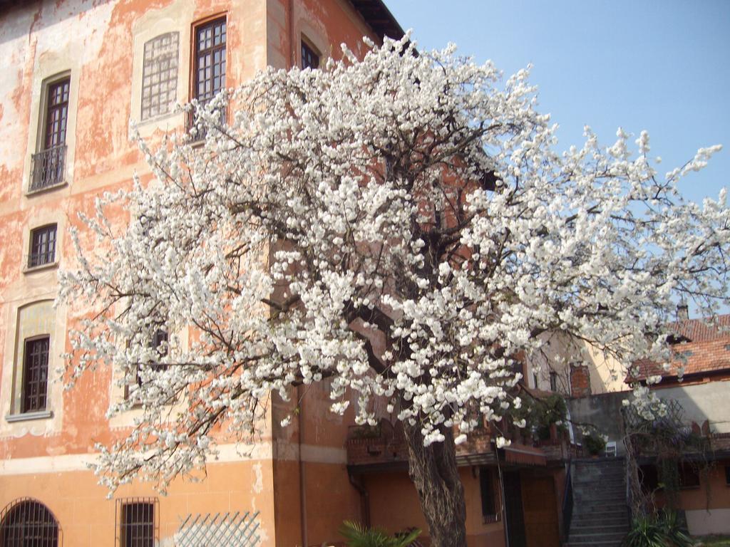 Il Castello Delle Meraviglie Fontaneto d'Agogna Luaran gambar